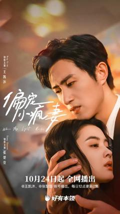 《偏宠小疯妻》