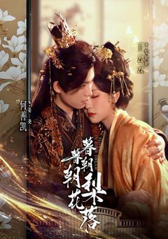 《暮暮朝朝梨花落》