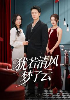 《犹若清风梦了云》
