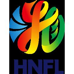 《湖南省足球联赛 衡阳队vs永州队20251107》