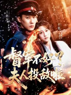 《督军不好了，夫人投敌啦》