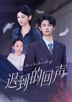 《迟到的回声》