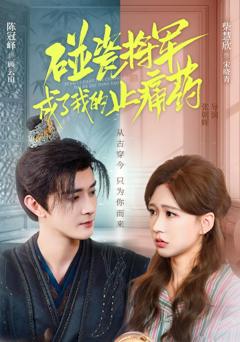 《碰瓷将军成了我的止痛药》