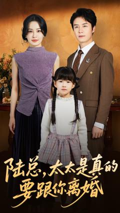 《陆总太太是真的要跟你离婚》