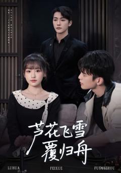 《芦花飞雪覆归舟》