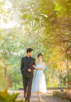 《苦尽甘来缘是你》