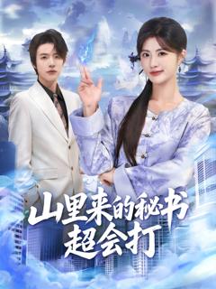 《山里来的秘书超会打》