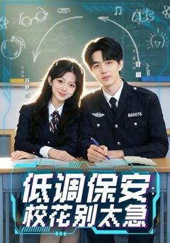 《低调保安：校花别太急》