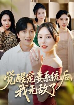 《觉醒宠妻系统后，我无敌了》