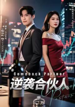 《逆袭合伙人》