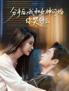 《分手后，我和女神闪婚你哭什么》