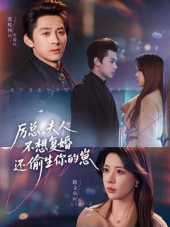 《厉总，夫人不想复婚还偷生你的崽》