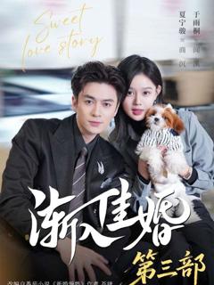 《渐入佳婚3》