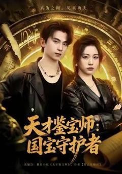 天才鉴宝师：国宝守护者