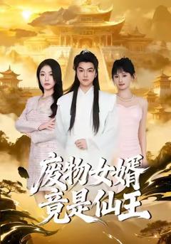 《废物女婿竟是仙王》