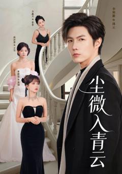 《尘微入青云》