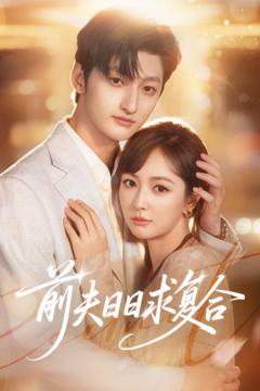 《前夫日日求复合》