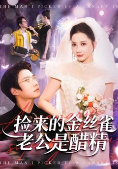 捡来的金丝雀老公是醋精