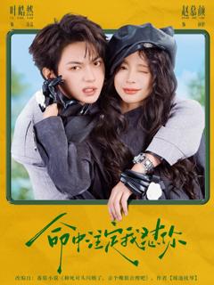 《命中注定我怼你》