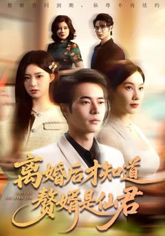 离婚后才知道赘婿是仙君