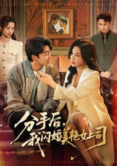 《分手后，我闪婚美艳女上司》