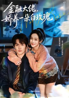 《金融大佬，娇养一朵白玫瑰》