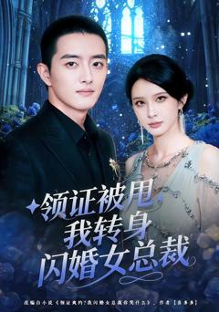 《领证被甩，我转身闪婚女总裁》