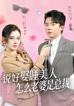 说好娶睡美人，怎么老婆是总裁