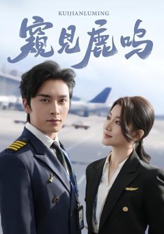 《窥见鹿鸣》