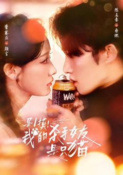 别摸！我的杀手女友是只猫