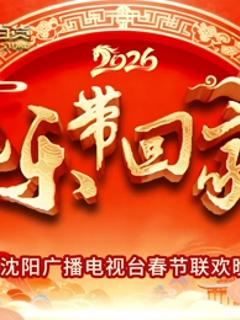 2026把乐带回家沈视春晚