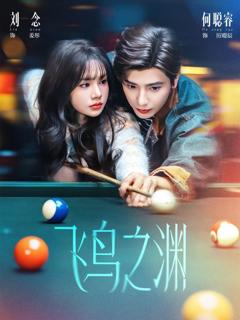 《飞鸟之渊》
