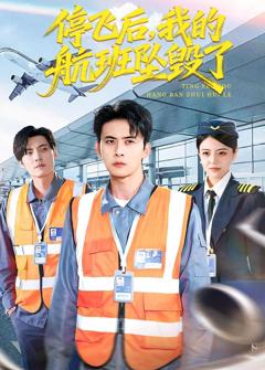 停飞后，我的航班坠毁了