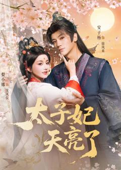 《太子妃天亮了》