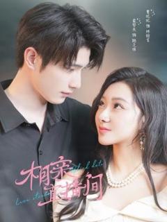 《相亲直播间》