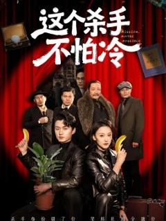 《这个杀手不怕冷》