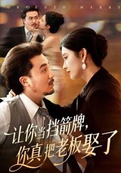 《让你当挡箭牌，你真把老板娶了》