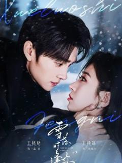 《雪落时逢你》