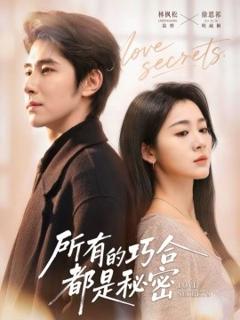 《所有的巧合都是秘密》