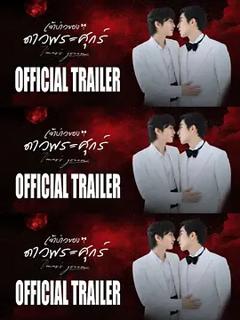 《维纳斯的新郎》