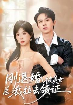 《刚退婚，被美女总裁拉去领证》