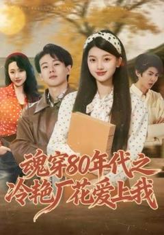 《魂穿80年代之冷艳厂花爱上我》