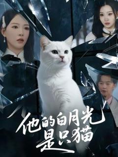 他的白月光是只猫