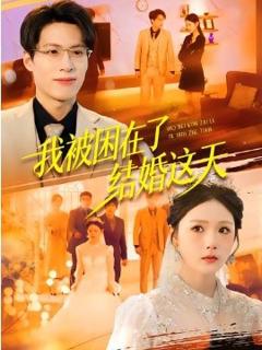 《我被困在了结婚这天》