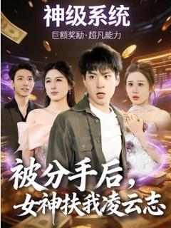 被分手后，女神扶我凌云志