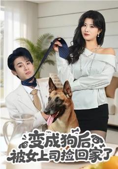变成狗后，被女上司捡回家了