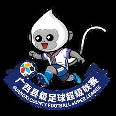 广西县超 柳州市柳南区队3.3北海市合浦县队20260501