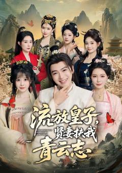 《流放皇子，贤妻扶我青云志》