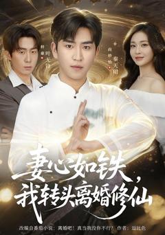 《妻心如铁我转头离婚修仙》