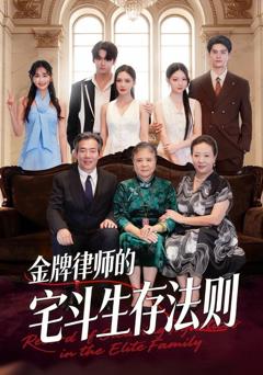 《金牌律师的宅斗生存法则》